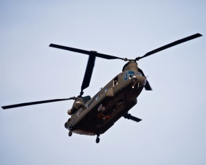 chinook