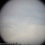 Newcastle_Island_In_Nanaimo