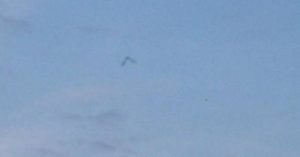 UFO_676