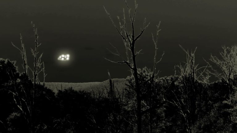 UFO Forest Black and White