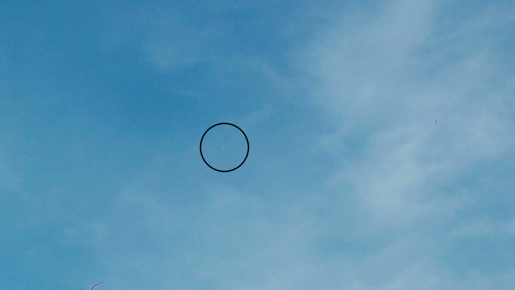 80390_submitter_file4__ufo2
