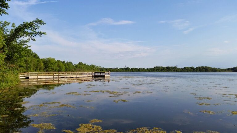 lake, pier, nature, wood, wooden, minnesota, usa, dock, wood plank, forest, holidays, summer, minnesota, minnesota, minnesota, minnesota, minnesota-963067.jpg