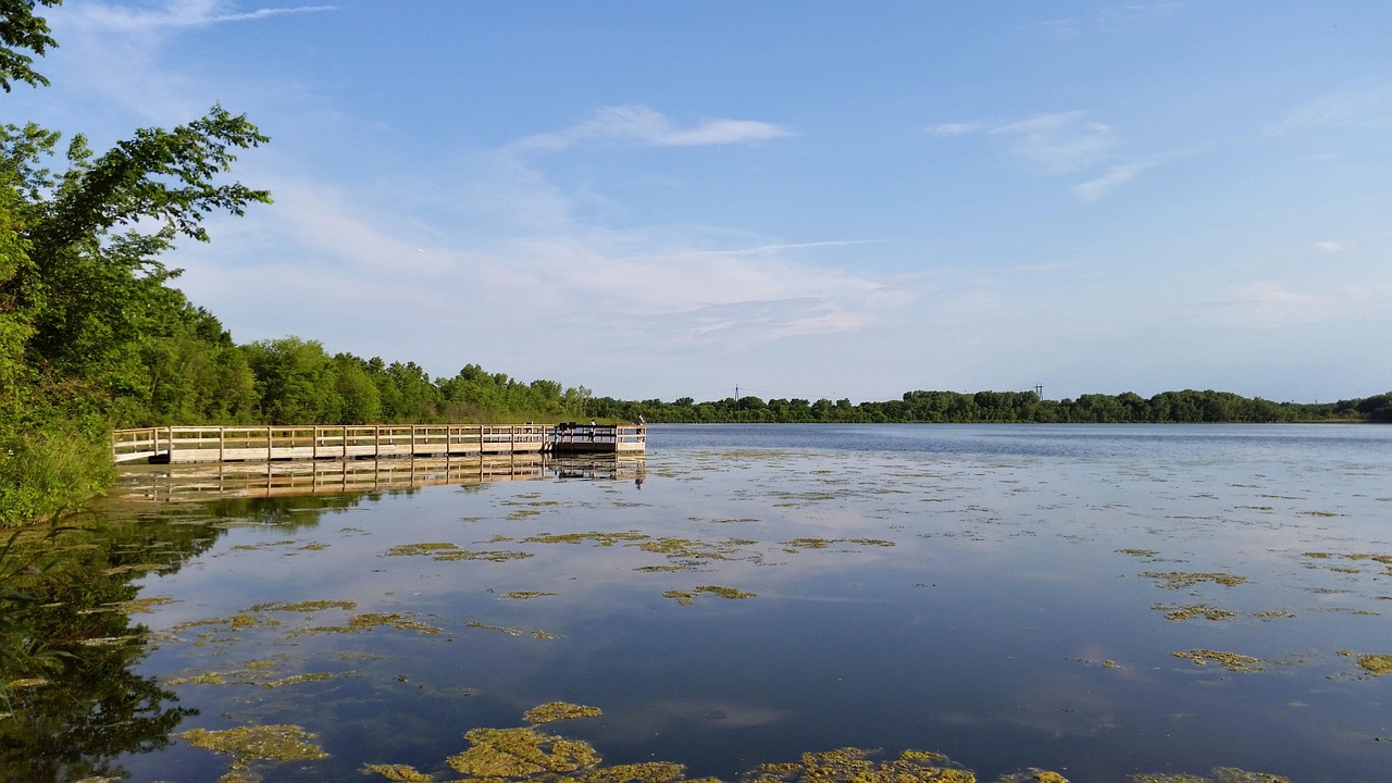 lake, pier, nature, wood, wooden, minnesota, usa, dock, wood plank, forest, holidays, summer, minnesota, minnesota, minnesota, minnesota, minnesota-963067.jpg