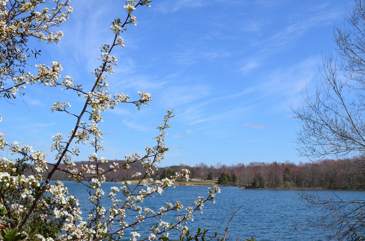 lake, pretty day, view, nature, pennsylvania, scenic-5079806.jpg