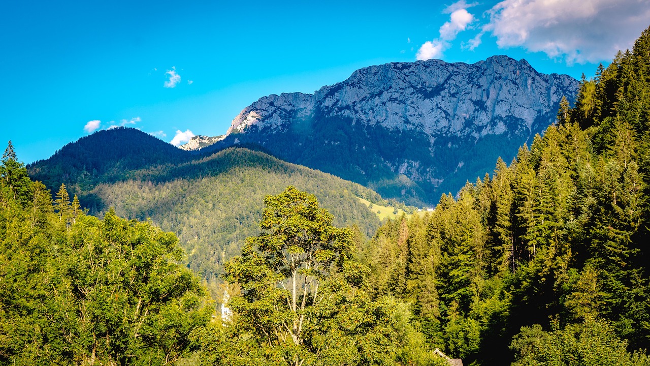 mountain, trees, slovenia, nature-7458976.jpg