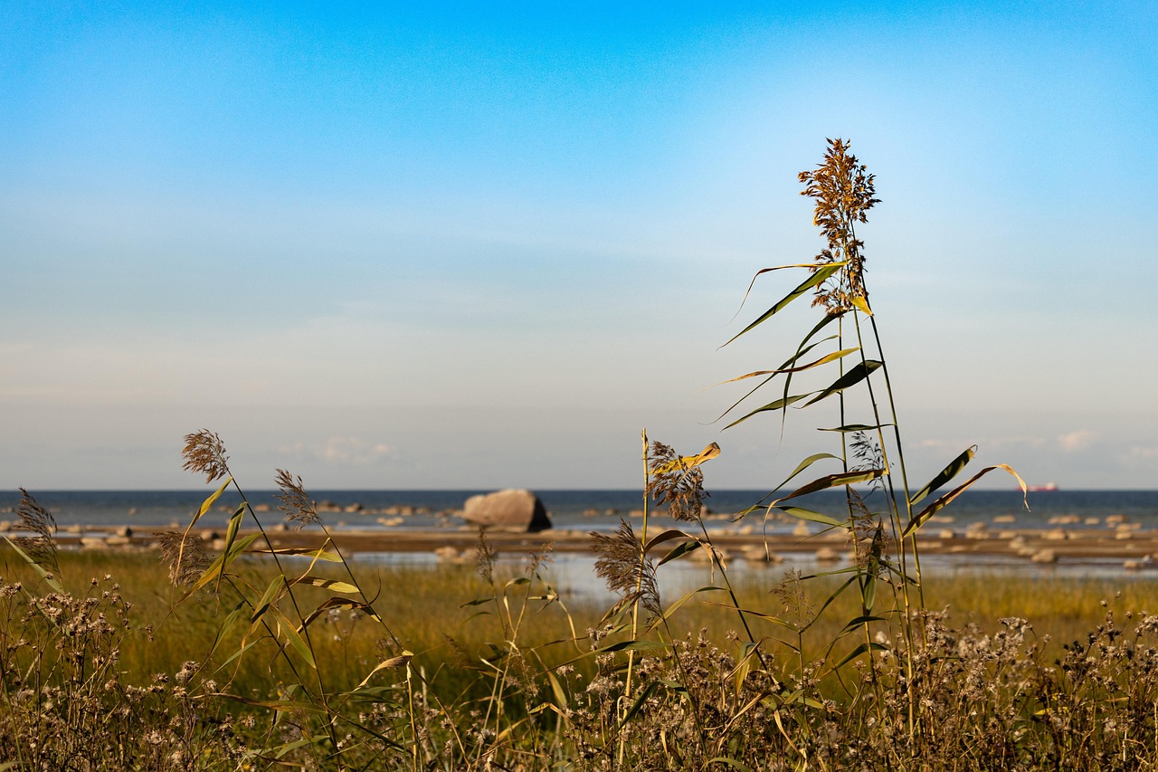 nature, estonia, tallinn, baltic, northern, autumn, sea, rocks, landscape-7452607.jpg