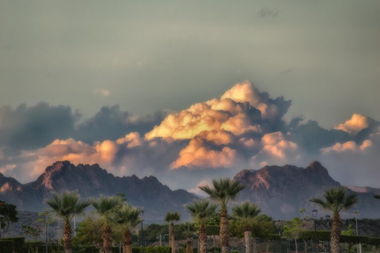 storm, cloud, darling, palms, weather, threat, dramatic, terreros, almeria-3778721.jpg