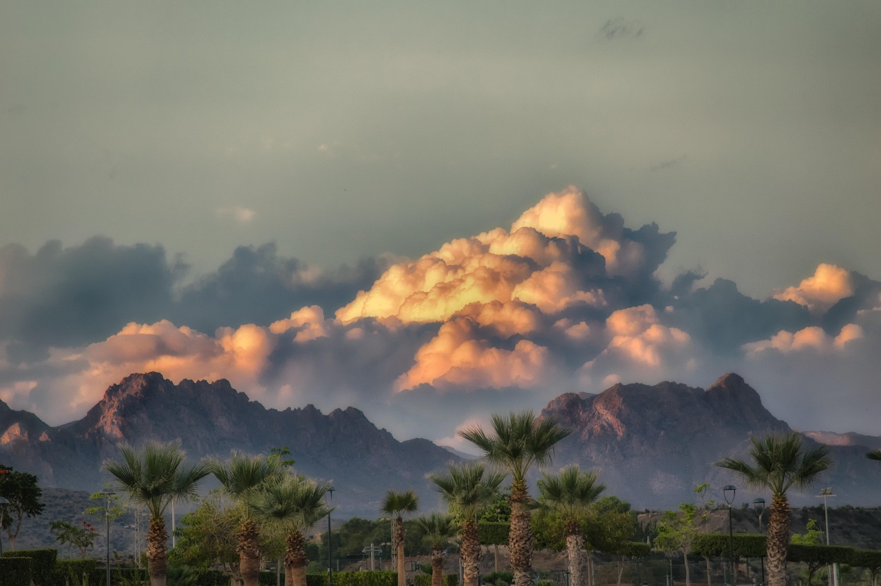 storm, cloud, darling, palms, weather, threat, dramatic, terreros, almeria-3778721.jpg