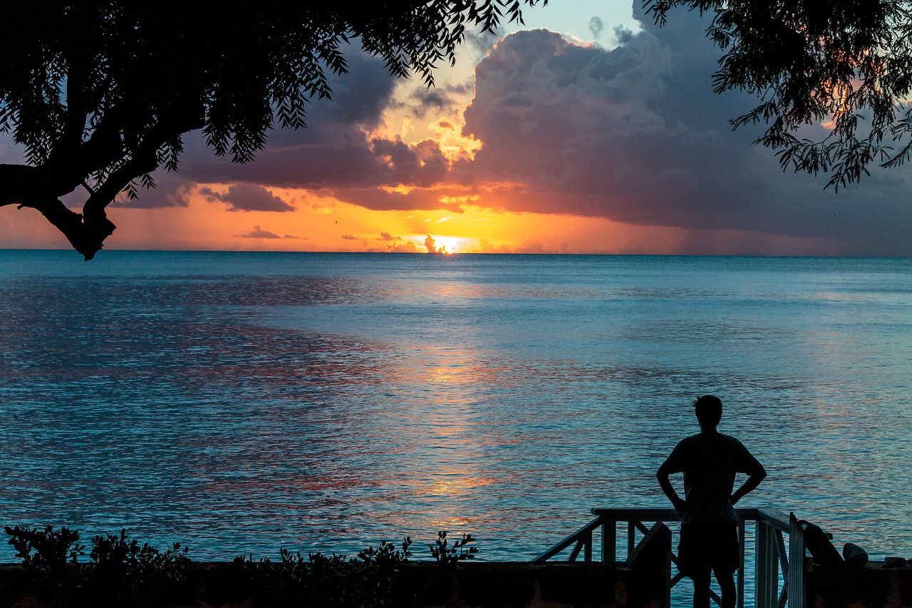 sunset, nature, atlantic ocean, silhouette, barbados, clearwater villa, tropical-1549559.jpg