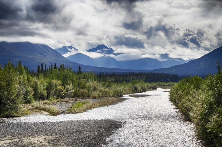 yukon territory, nature, alcan highway, river, landscape, mountains, canada, forest, stormy, travel, tourism-4803447.jpg