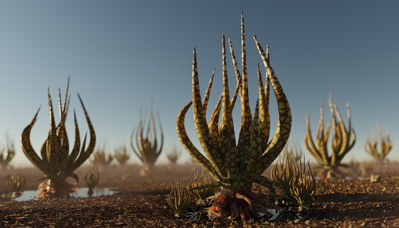 plants, vegetation, nature, planet, space, extraterrestrial, desert, landscape-7503575.jpg