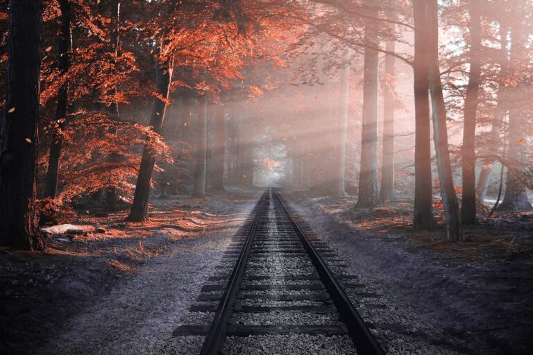 railway, forest, trees, rails, train tracks, autumn, colors, nature, railroad, haze, mist, sunrays, nature wallpaper, zoom background-2818748.jpg